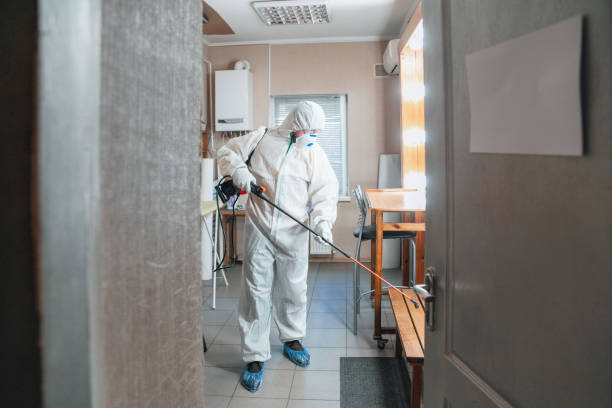 Best Mold Odor Removal Services  in North Charleston, SC