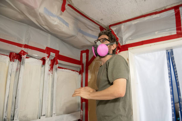 Best Industrial Mold Remediation  in North Charleston, SC