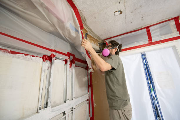 Best Post-Remediation Verification Testing  in North Charleston, SC