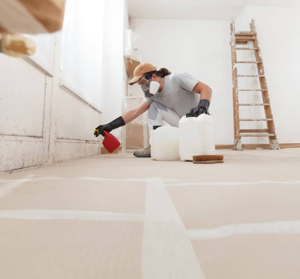 Best Indoor Air Quality Assessment  in North Charleston, SC
